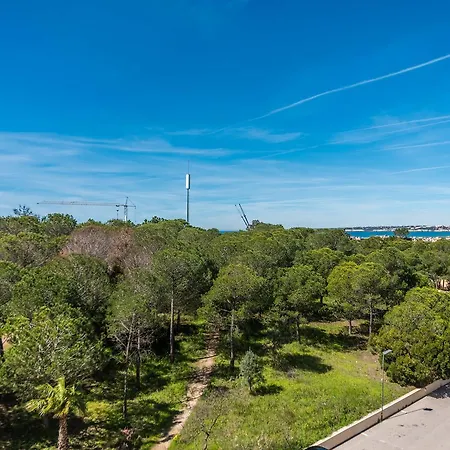 Salgados 36 * アルブフェイラ